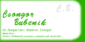 csongor bubenik business card